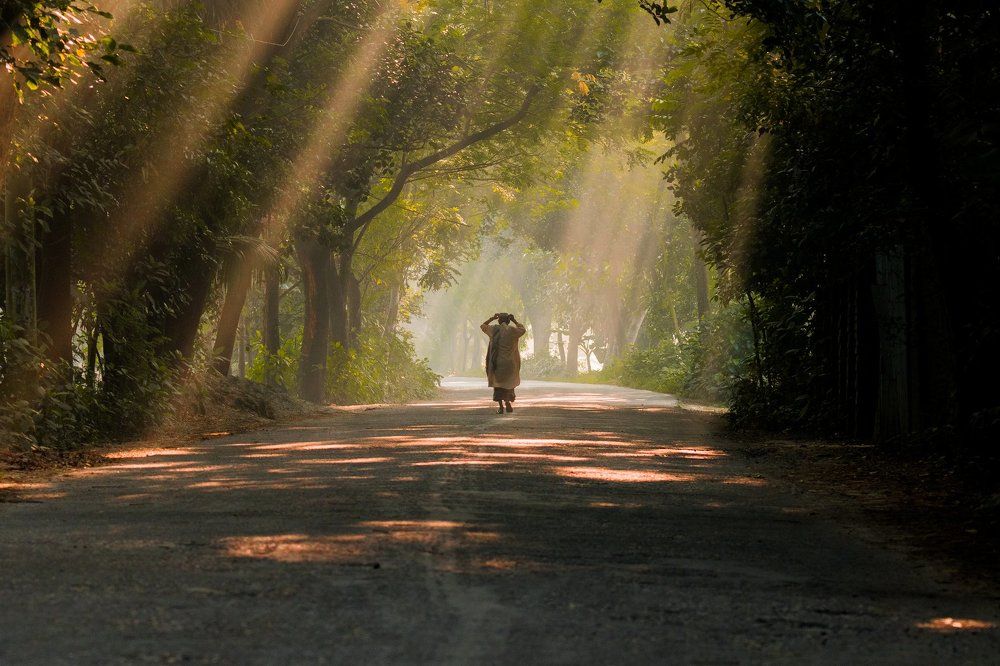 Rays to purification....