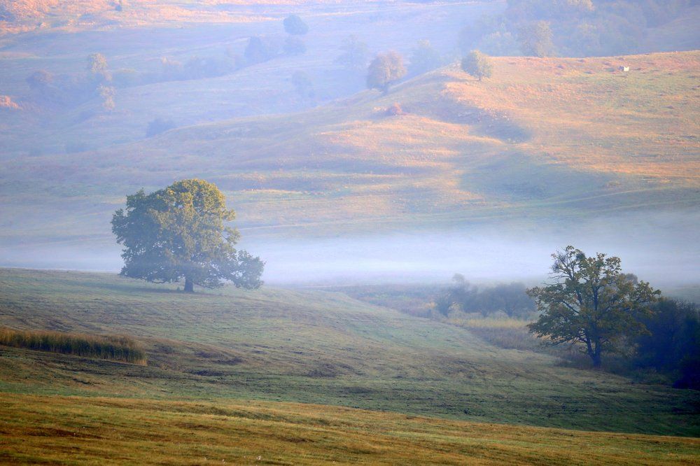 утро в Руминии
