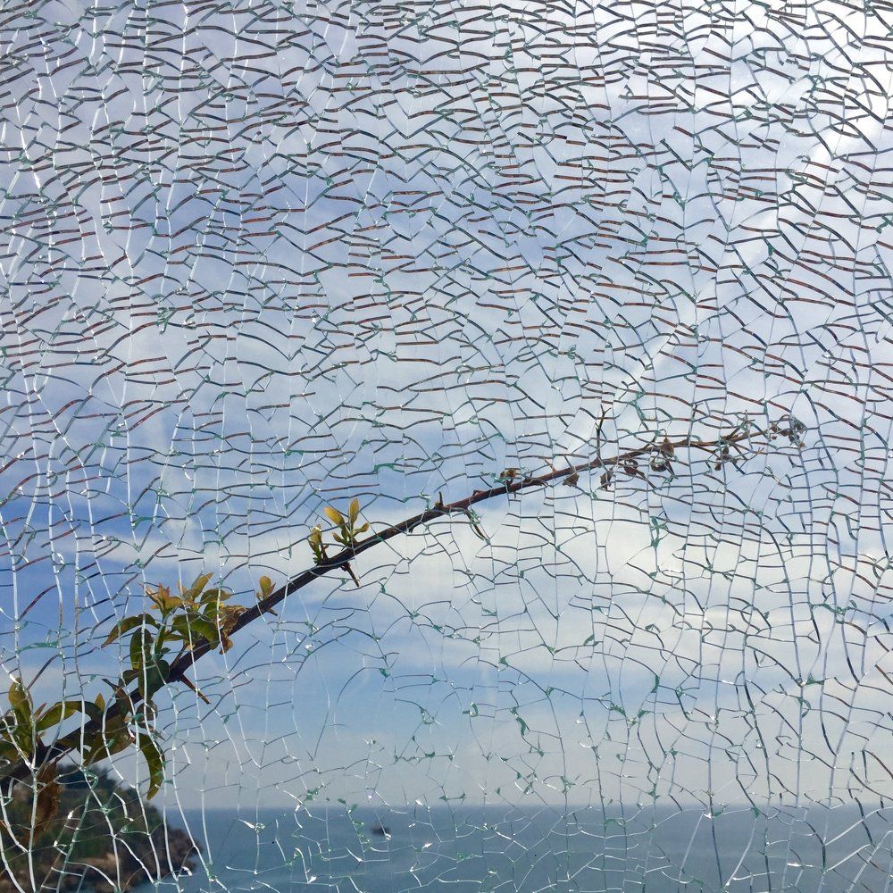 Cracked window