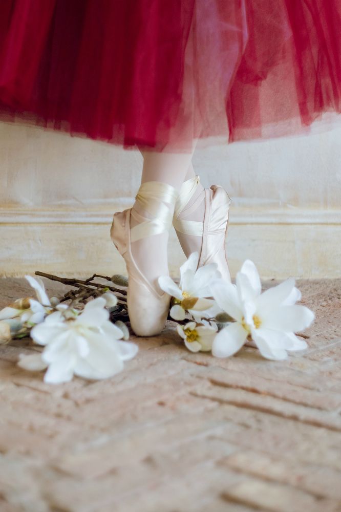 Photograph by Юлия Шевердова