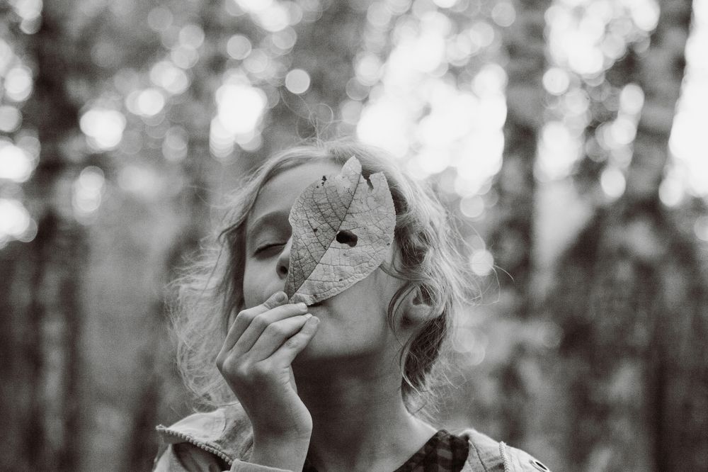 Настроение - осень