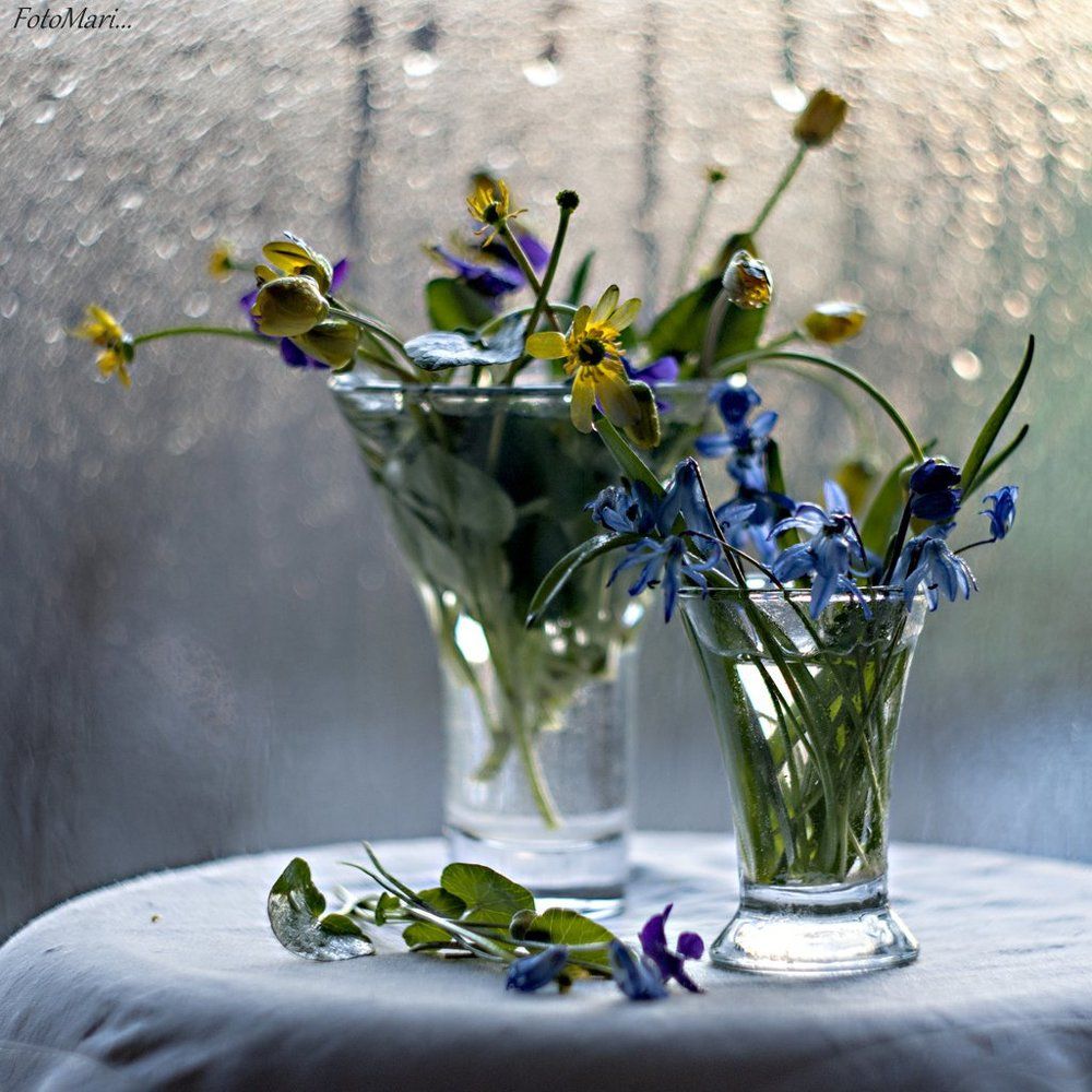 С первоцветами...