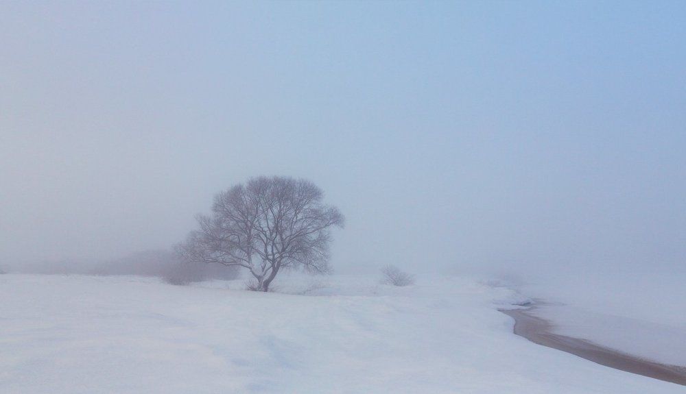 В зимнем тумане II