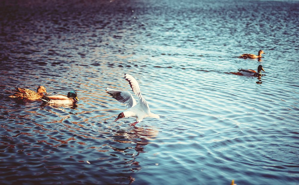 Photograph by Анастасия