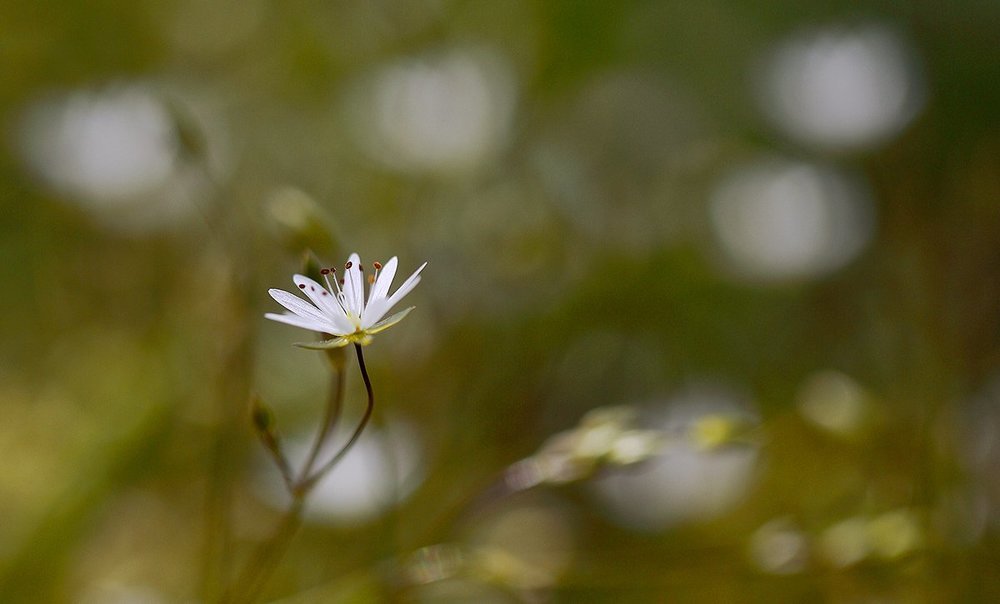 Photograph by Марина