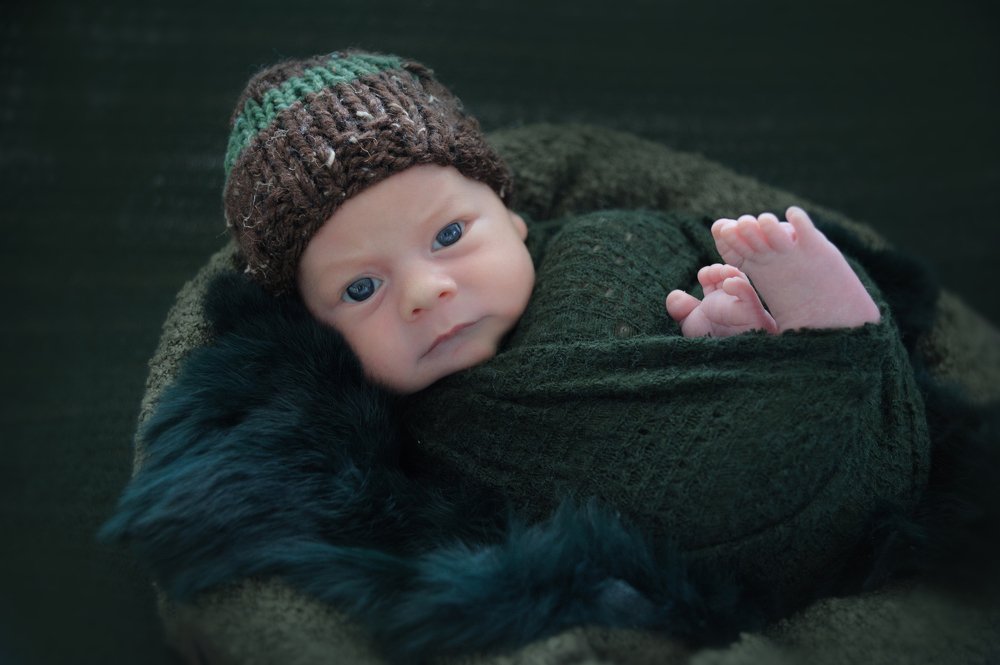 Птенчик Федя