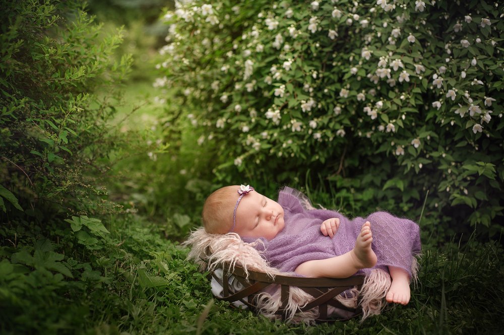 Дюймовочка