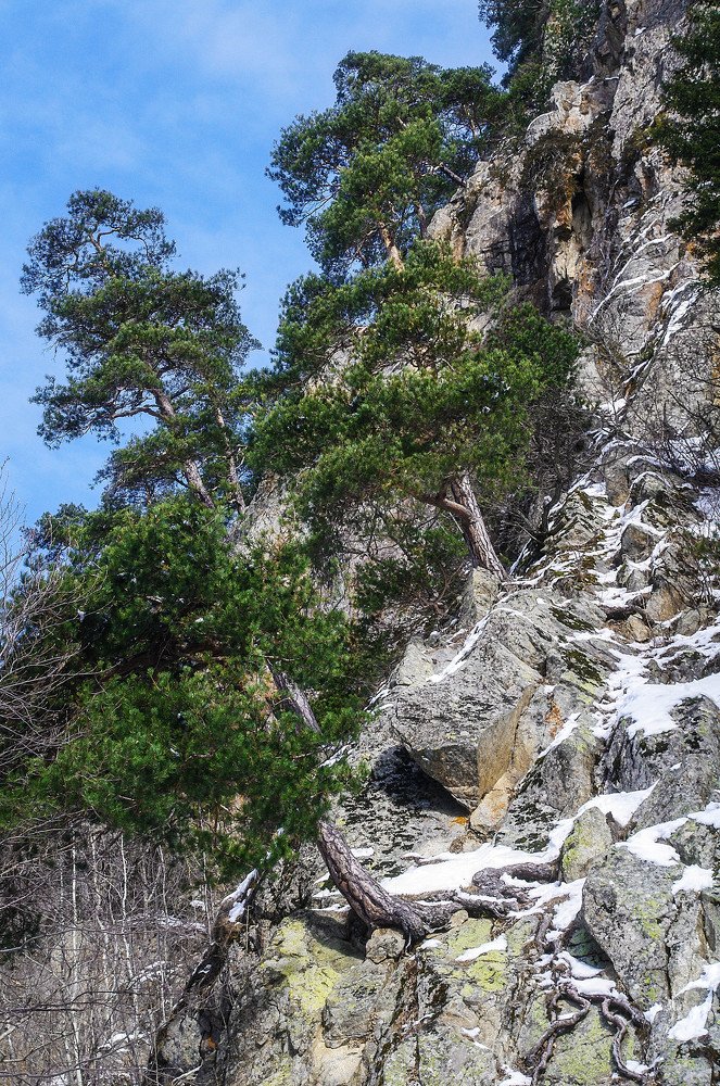 Наскальная жизнь