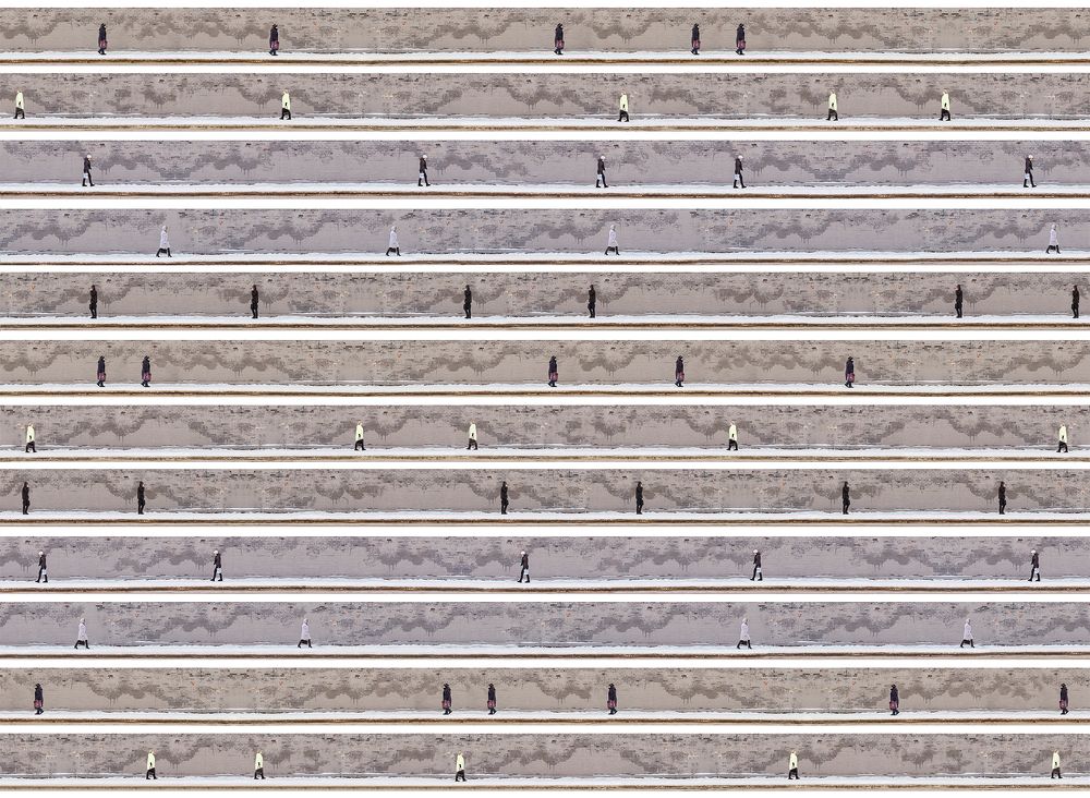 Муравейник