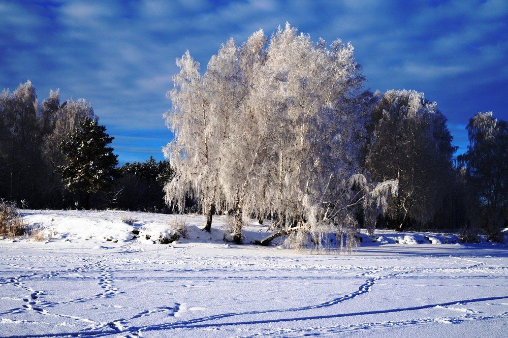 Photograph by Хавронин Валера
