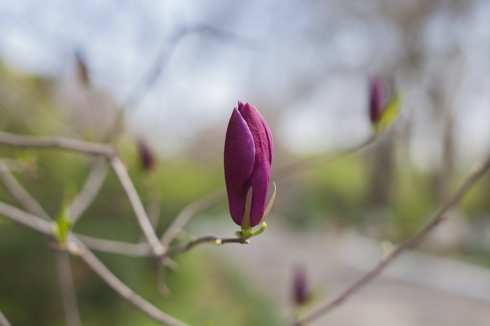 Photograph by Mary Petrova