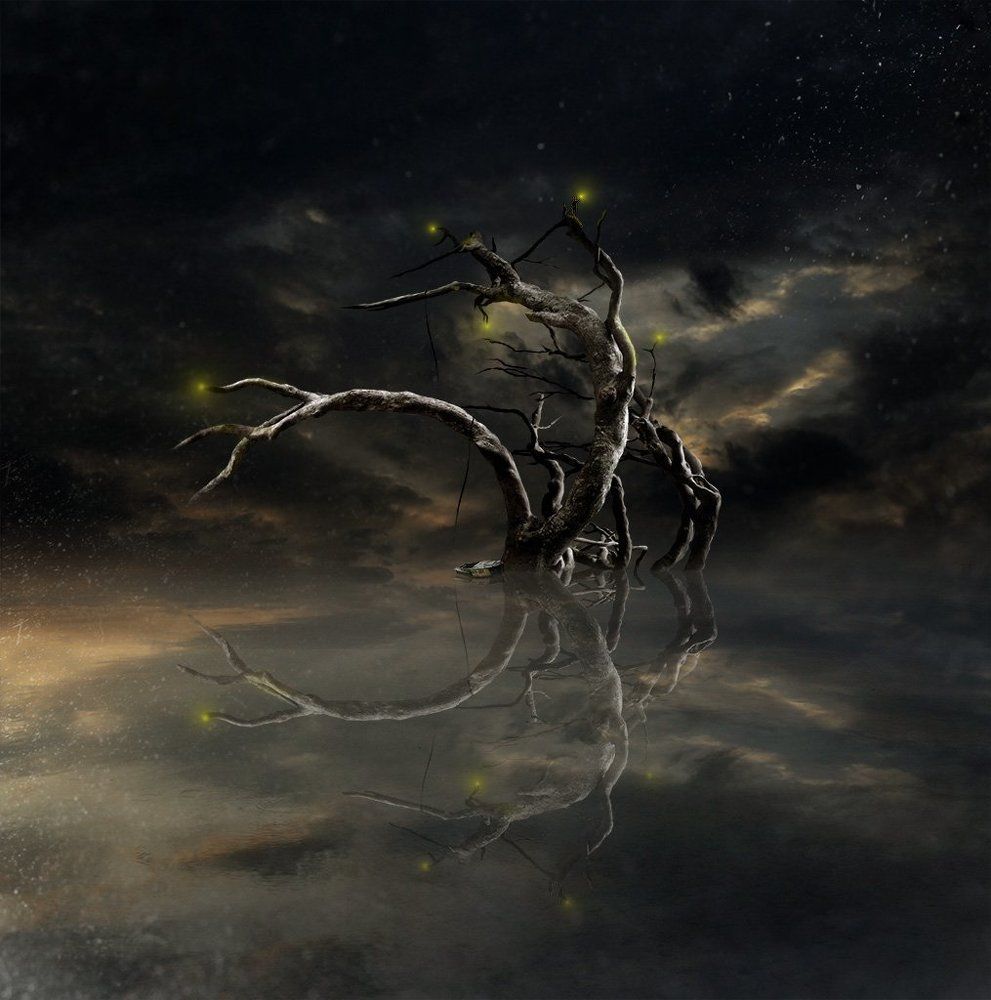 Тернистый свет...