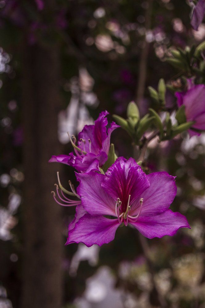 Photograph by Бадаев Антон