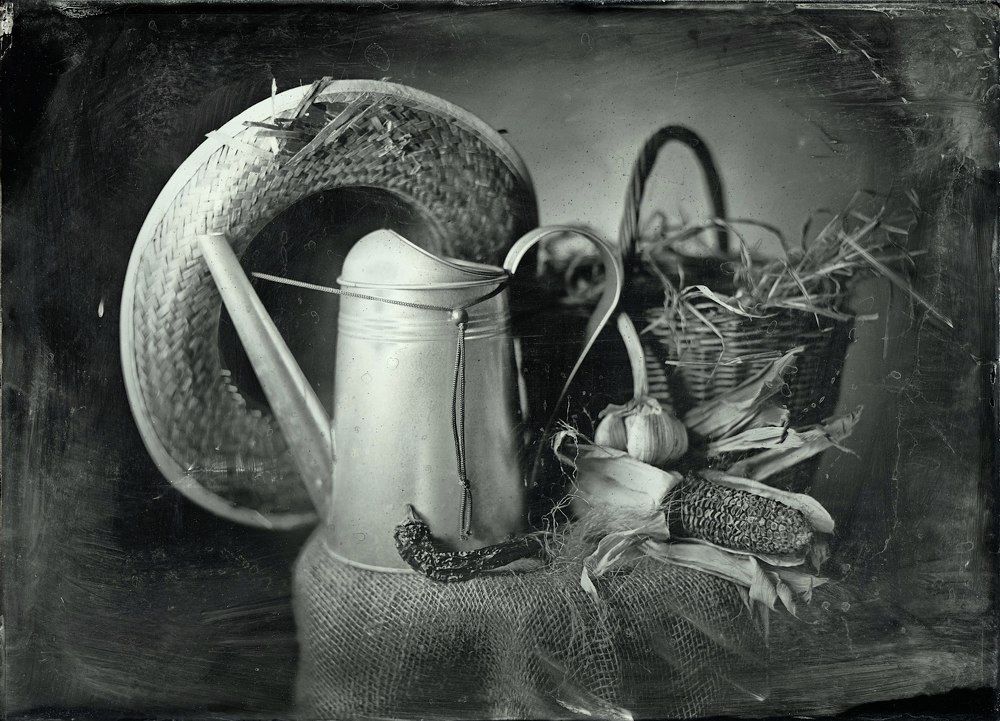 Старый перец