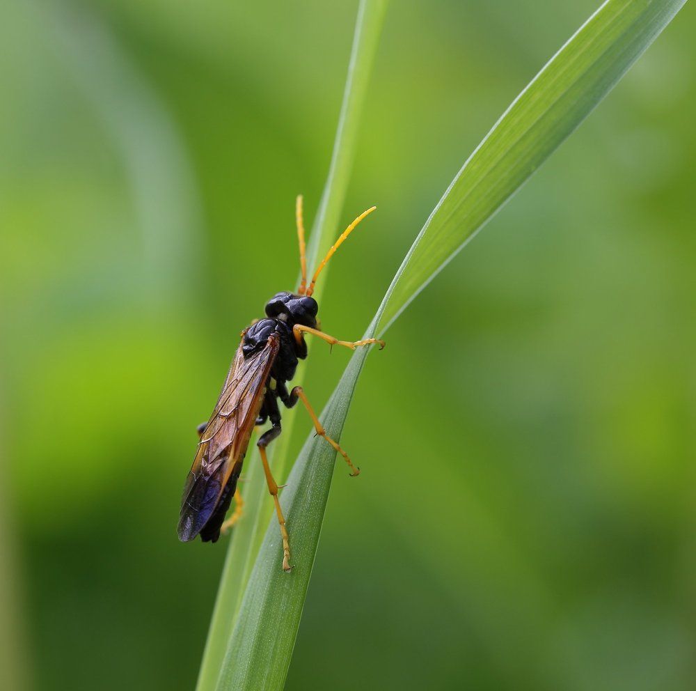 На распутье