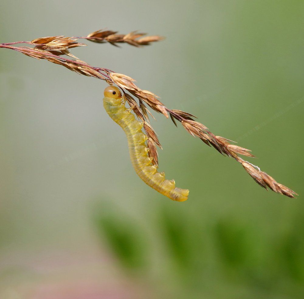 Этот не легкий путь наверх