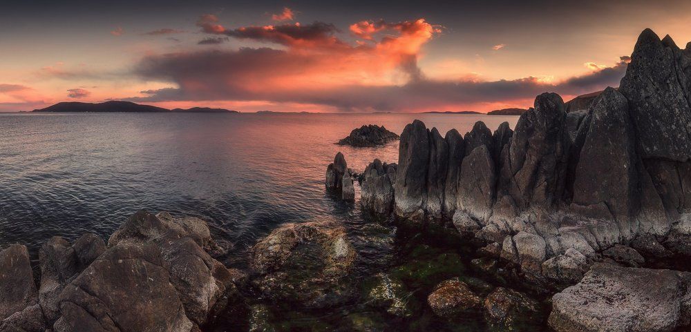 Годзилла на прогулке