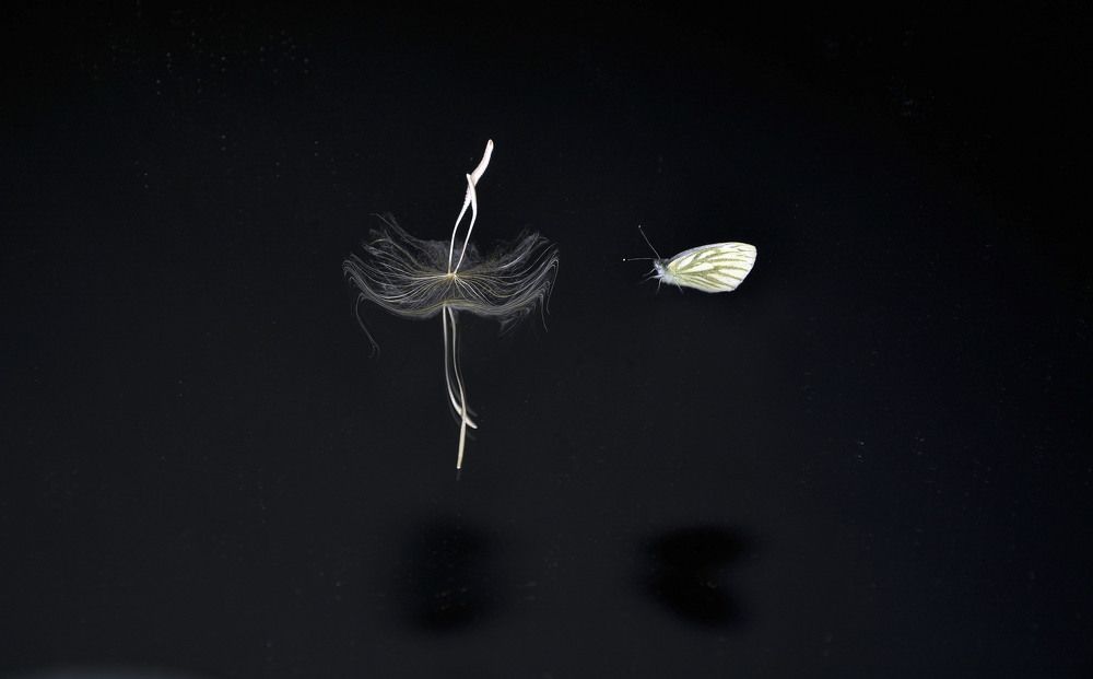 Учимся летать