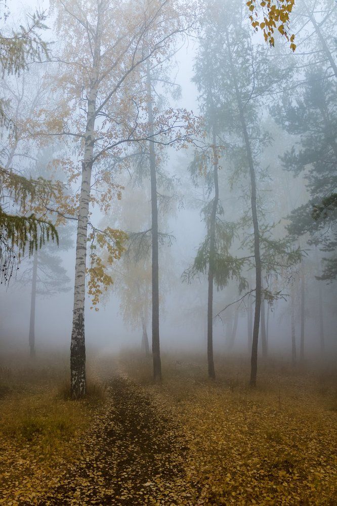 Photograph by Роман Кондрашин