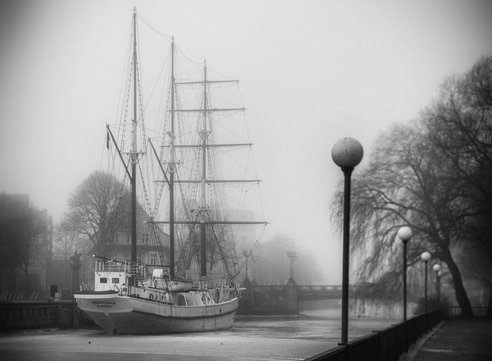 Из тумана...