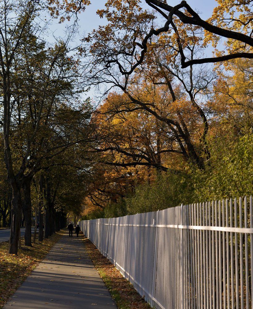 Photograph by Алексей Размашкин