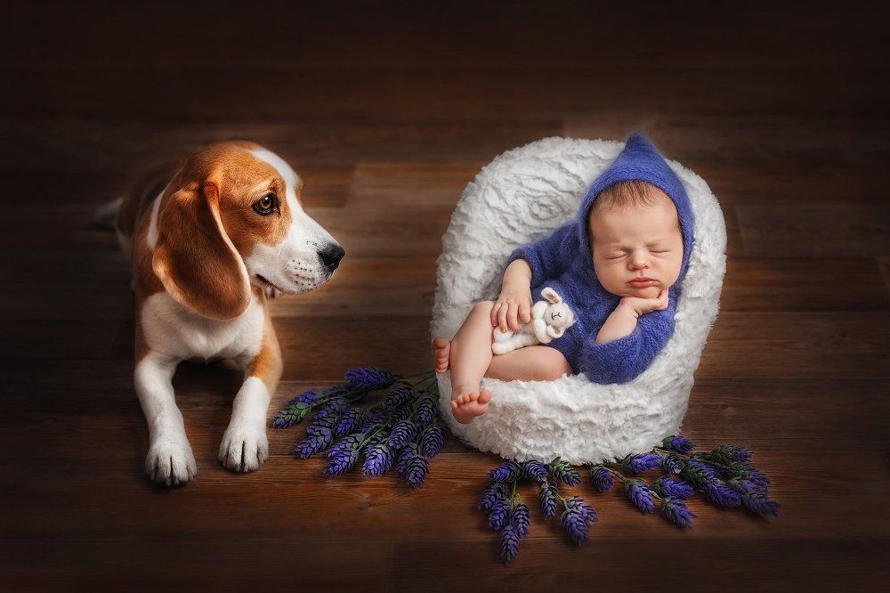 С рождения вместе