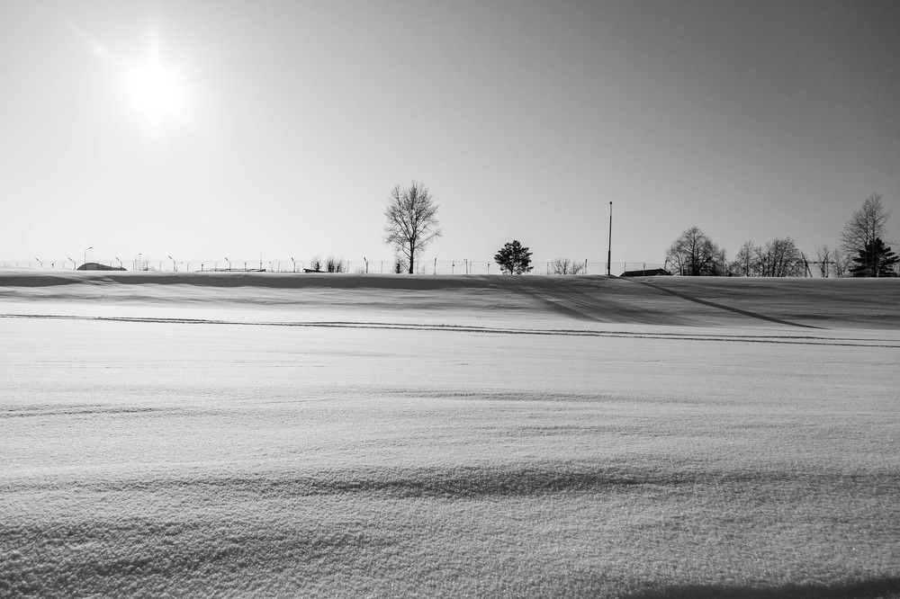 Photograph by Елена Волжанкина