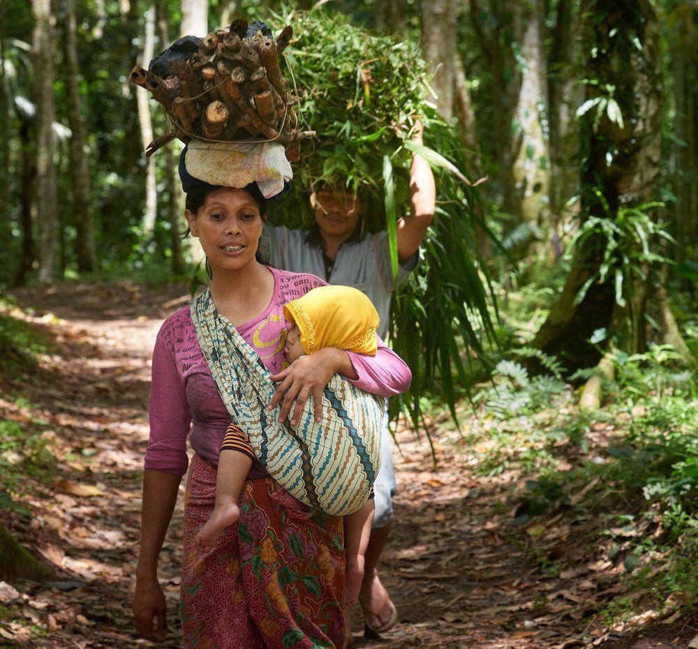 Дорога Домой