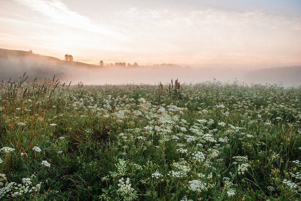 Утро на Немде.