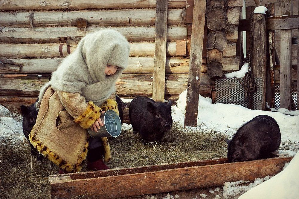 Утро в деревне