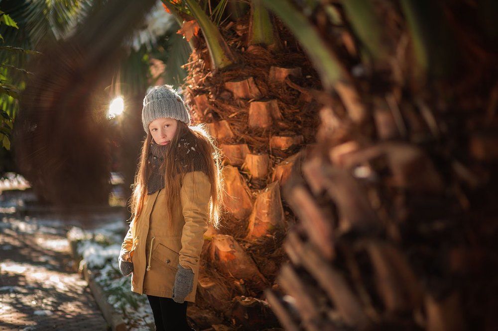 Заснеженные пальмы