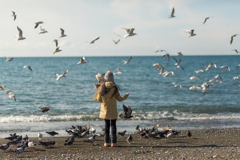 Юля и Чайки