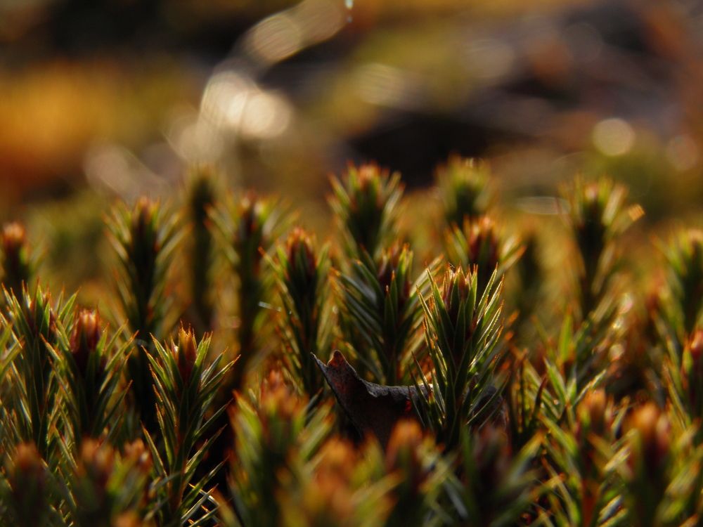 Photograph by Валерий Гудков