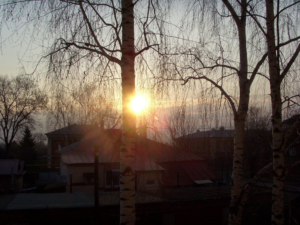 Вид из окна