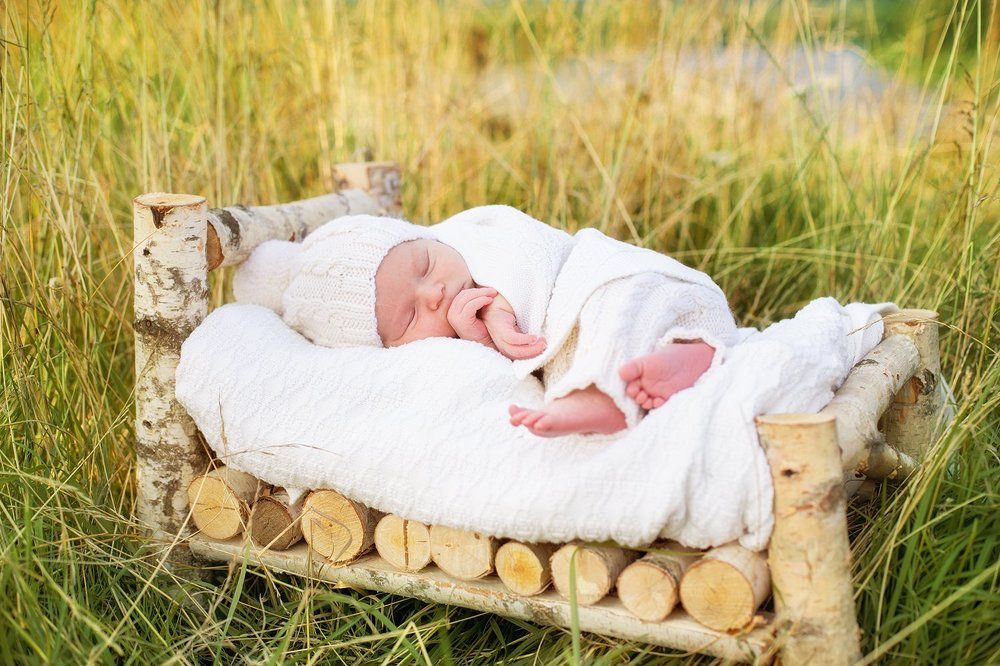 Photograph by Наталья Попова