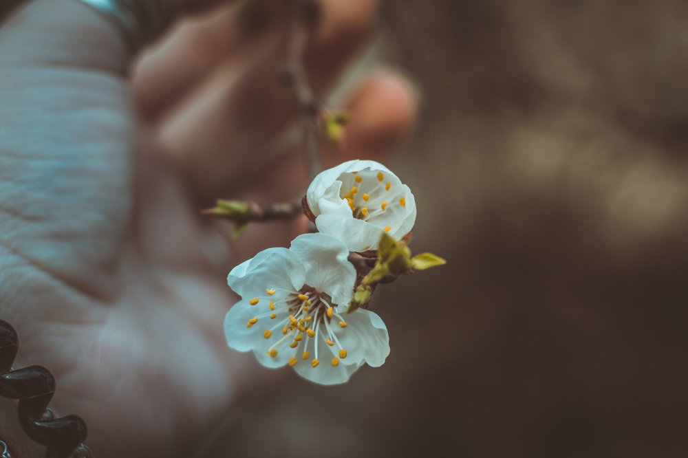 Photograph by Марина Титова