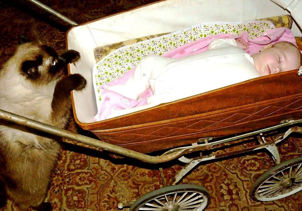 кто, если не я?