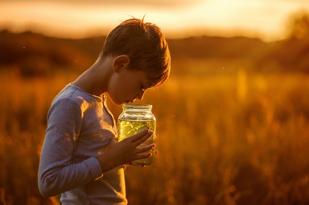 Баночка с летом