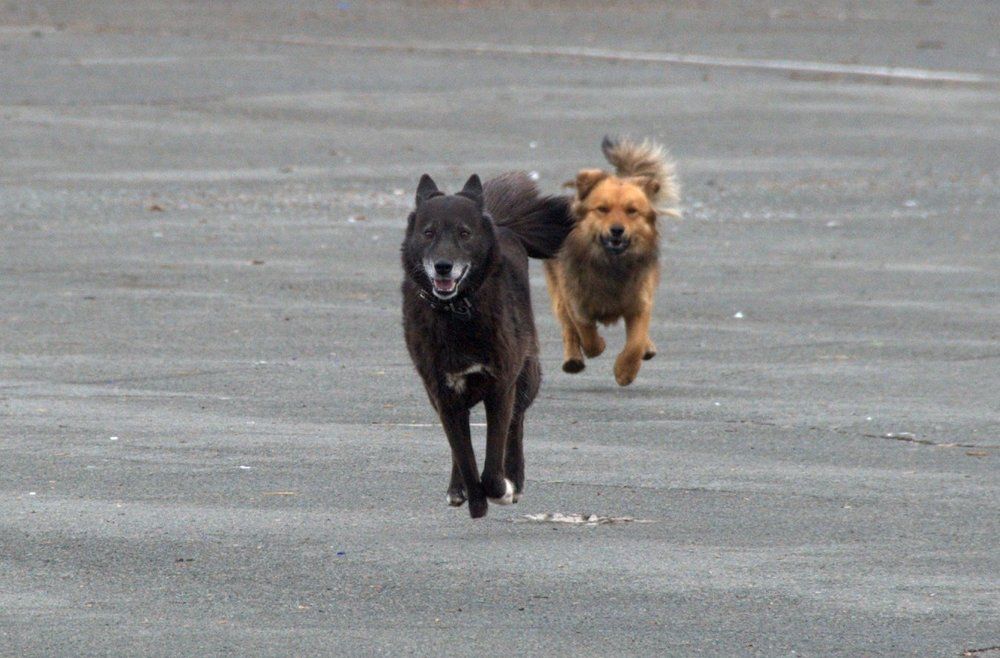 Двойной полёт...