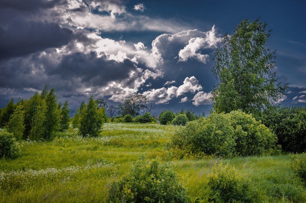 Перед грозой...