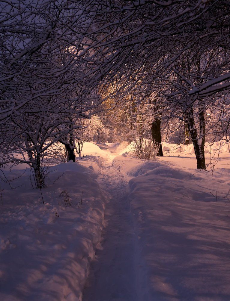 Зимний вечер