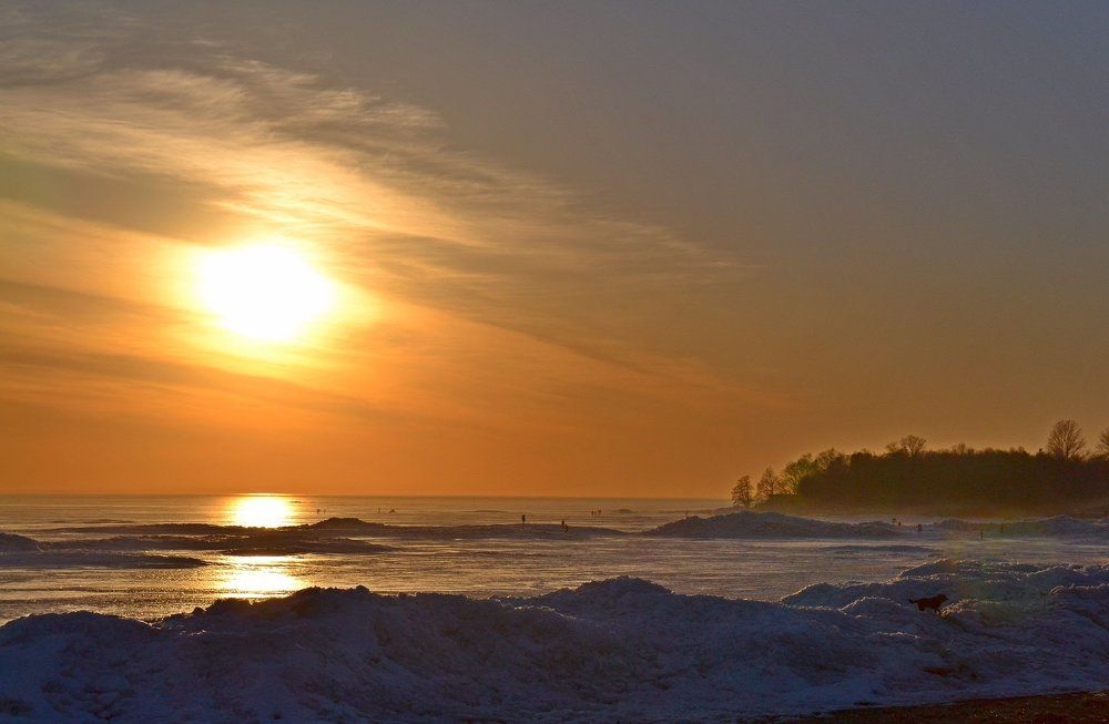 Photograph by Елена Боржковская