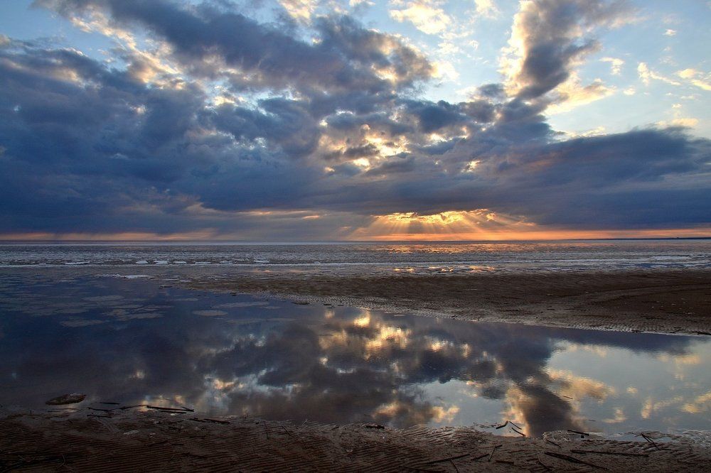 Photograph by Елена Боржковская