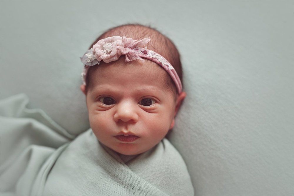 Photograph by Светлана