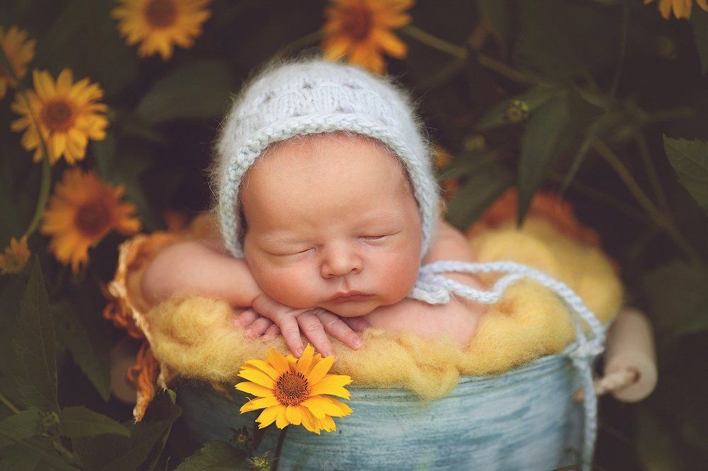 Photograph by Светлана