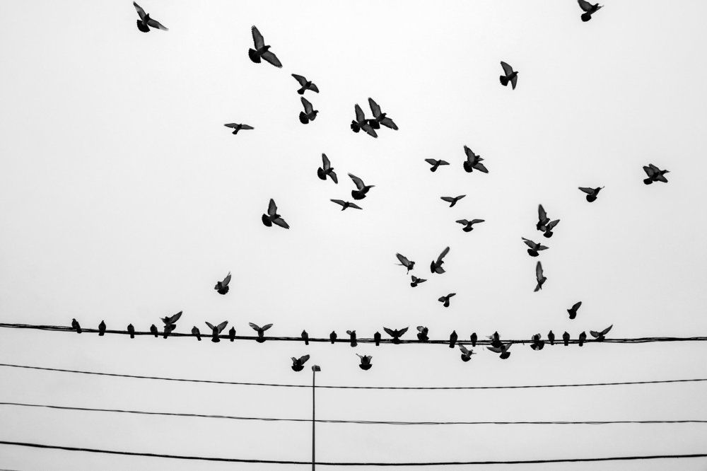 Photograph by Денис Духовник