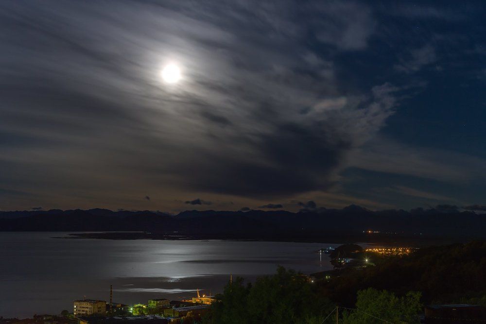 лунный свет