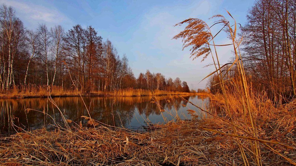 Фотография автора Александр Петаев