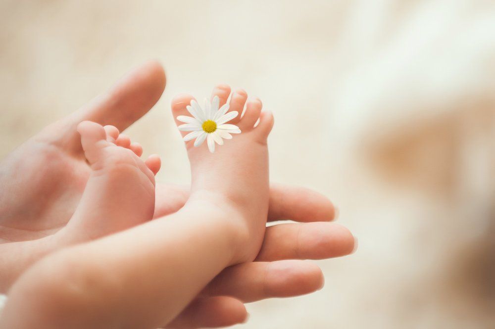 раз ромашка