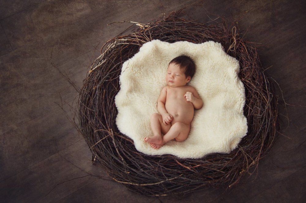 "Птенчик" в гнезде